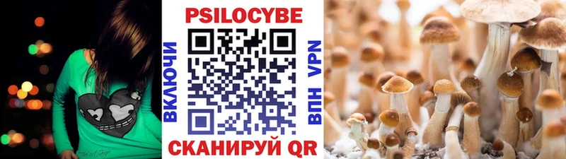 Галлюциногенные грибы Psilocybine cubensis  Астрахань 