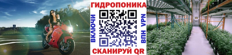 наркошоп  Астрахань  Бошки марихуана Ganja 